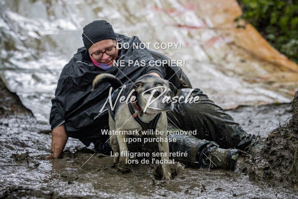 nelerasche_Hunsrück_Sa1300-1400_566-final | nelerasche