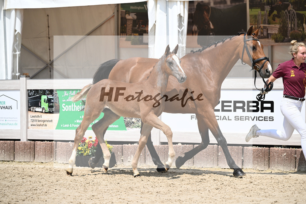 Arezzo Man x Clearway_HF_Maier u Mayerfoels_12250682 | hf-fotografie - Realisiert mit Pictrs.com