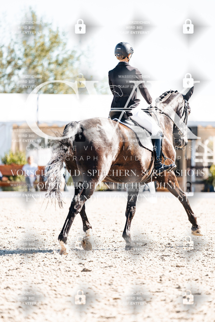 CK908891 | Turnierfotografie Pferdefotografie Trier Rheinland-Pfalz Pferdesport Reitsport Tierfotografie Sportfotografie Pferdevideo Pferdevideografie Equestrianvideography equestrianphotography  - Realisiert mit Pictrs.com