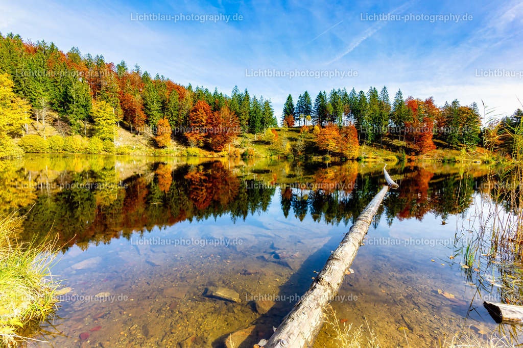 Schöner See im Süd Schwarzwald | Der Nonnenmattweiher ist ein mittels Damm aufgestauter See mit einer Moor- bzw. Torfinsel und ein ihn und seine Umgebung umfassendes namensgleiches Naturschutzgebiet im Südschwarzwald und Naturraum Hochschwarzwald in Baden-Württemberg.  - Realized with Pictrs.com