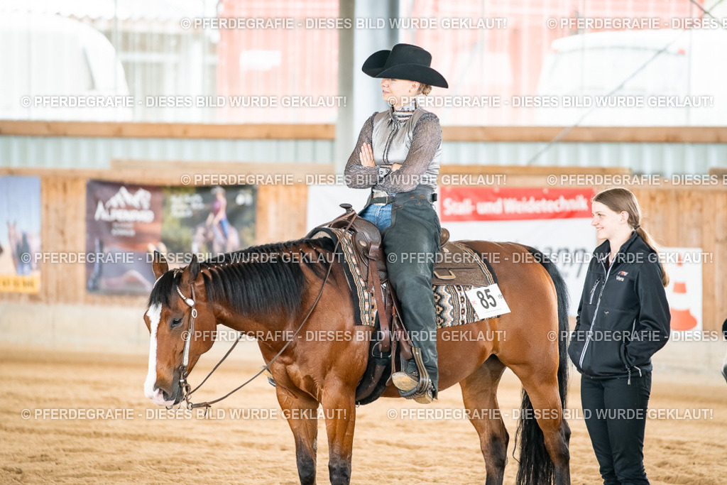 DSC03121 | Pferdegrafie