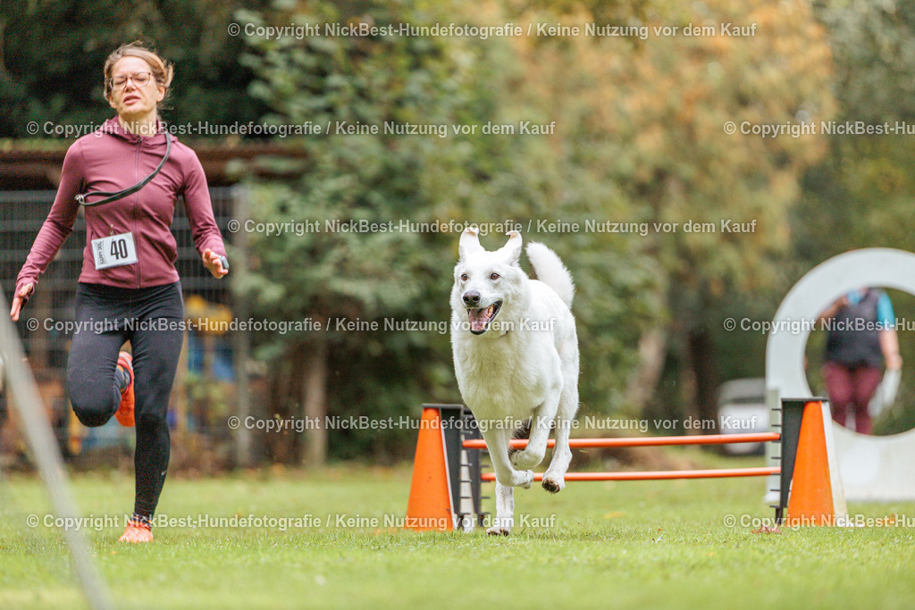 THS-HSV-Blumenthal-2026-Nickbest-Hundefotografie-1808 | Dein Hund! Dein Moment! Deine Erinnerungen! Hundefotografie in Bremen Blumenthal. Ich fange die besonderen Momente deines Vierbeiners ein – ob Indoor mit Blitzanlage oder in der freien Natur. Sicher dir dein Moment und dein Termin für eure Erinnerungen.