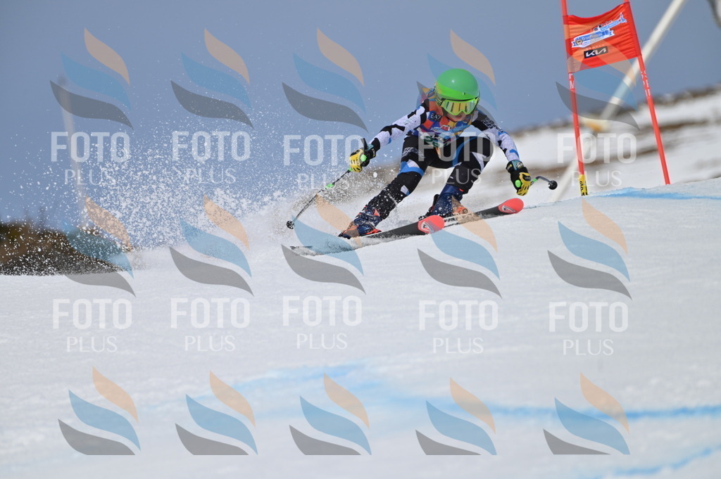 BGV_5867 | holidayphoto