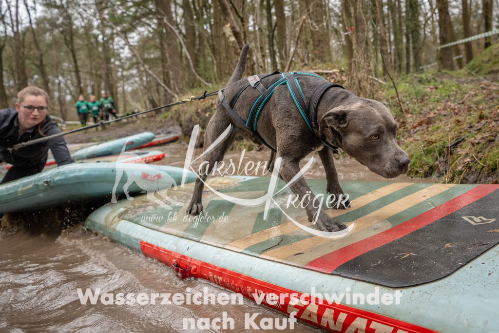 1139_ZZ94064 | kk-dogfotos