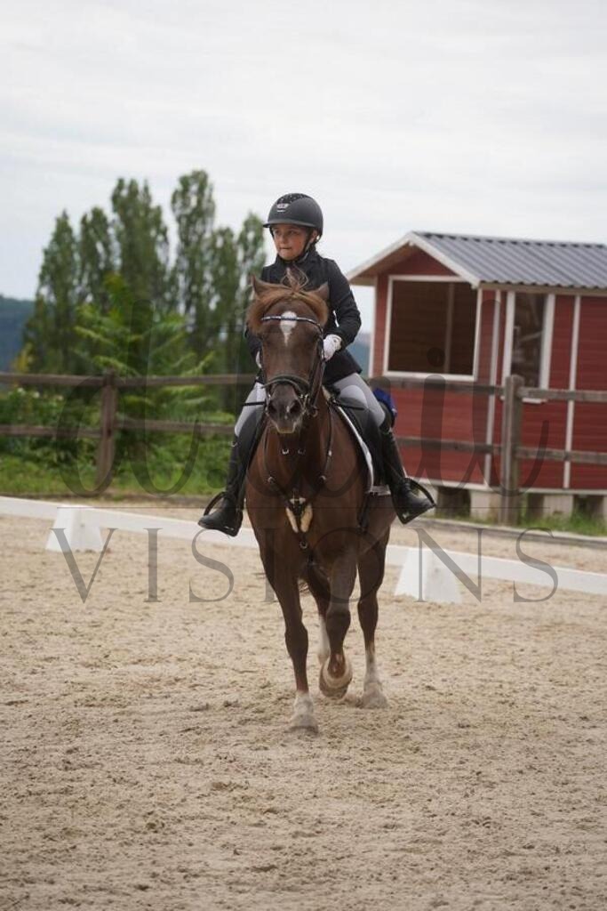 tgbhsamstag (1854) | d.tail Visions - Shop - Realisiert mit Pictrs.com