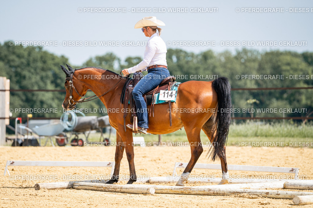 DSC00415 | Pferdegrafie