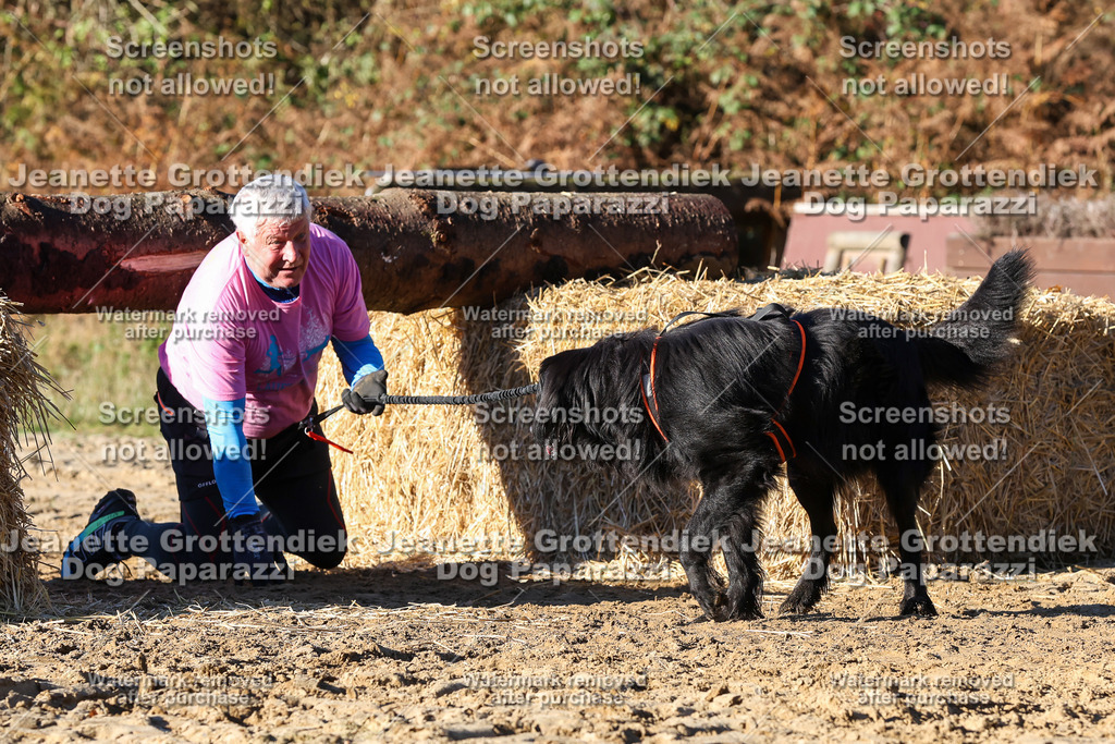 Dog Paparazzi - Strongdog 10-25-1642 | Dog Paparazzi Jeanette Grottendiek Fotografie & Videografie - Realisiert mit Pictrs.com