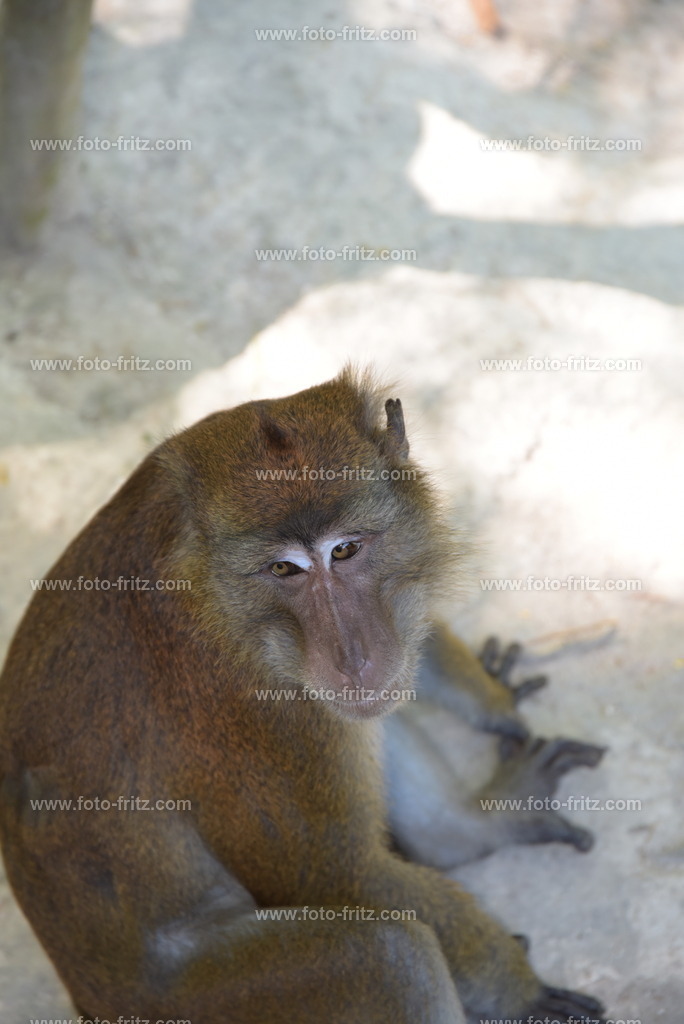 DEZ_0577 | www.foto-fritz.com - Realisiert mit Pictrs.com