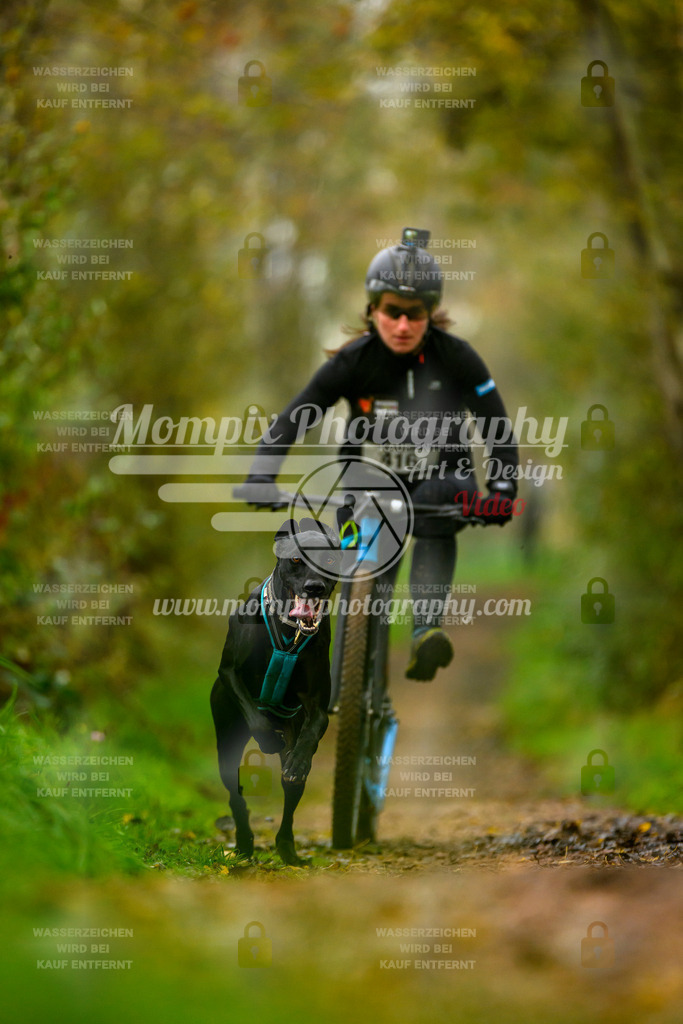 MompixPhotography_20TSB_E6_DS1-5 | PayLife