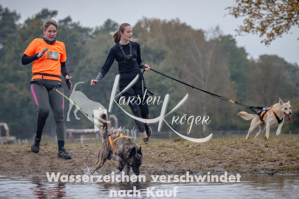 1201_ZZ97877 | kk-dogfotos