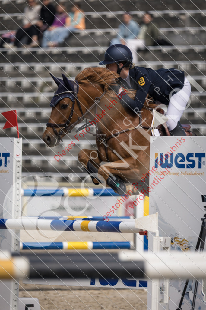 IMG_4692 | Sport-, Event- und Tierfotos in Profiqualität. Einfach auswählen, bestellen und herunterladen. Dein Moment – perfekt festgehalten.