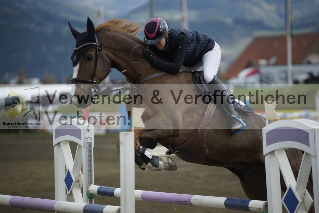 _DSC8071 | equestrian-live-com