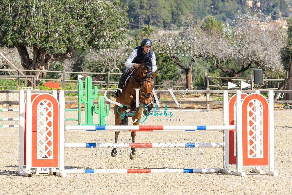 IMG_3966 | s-jay-photography - Realisiert mit Pictrs.com