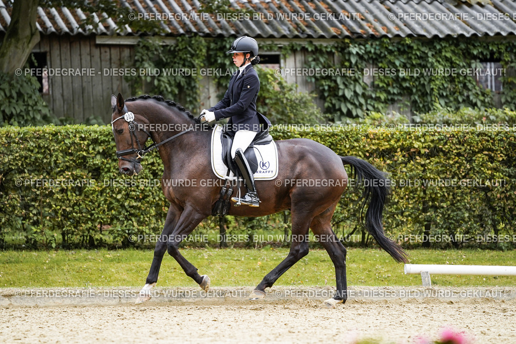 DSC00932 | Pferdegrafie