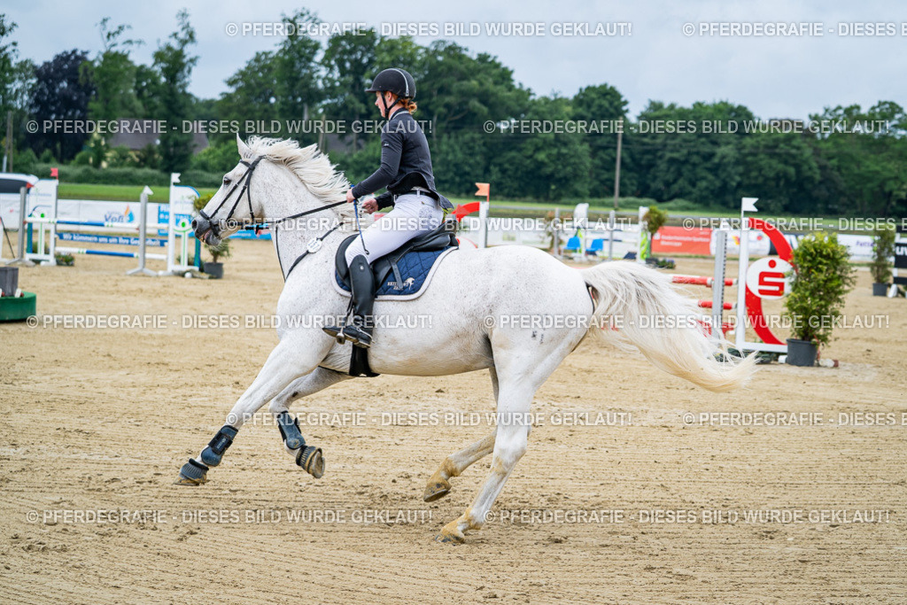 DSC03558 | Pferdegrafie