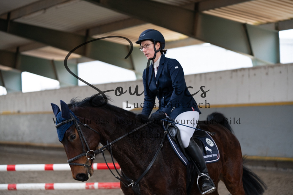 A7V03705 | Pferdefotograf