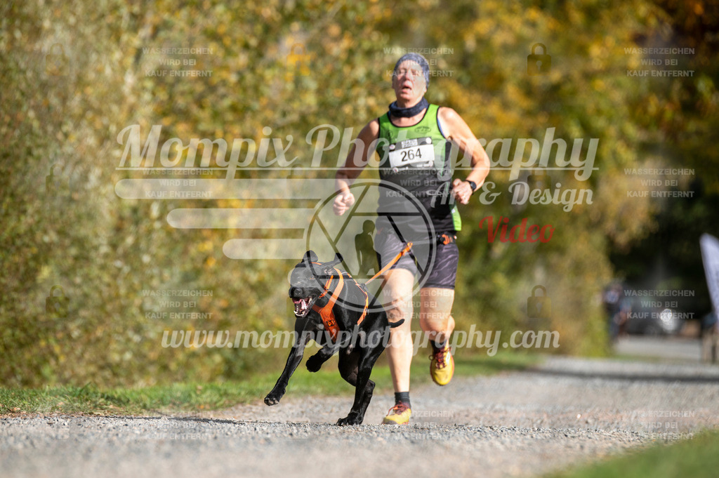 TSB_2023_E2_Canicross-100 | PayLife