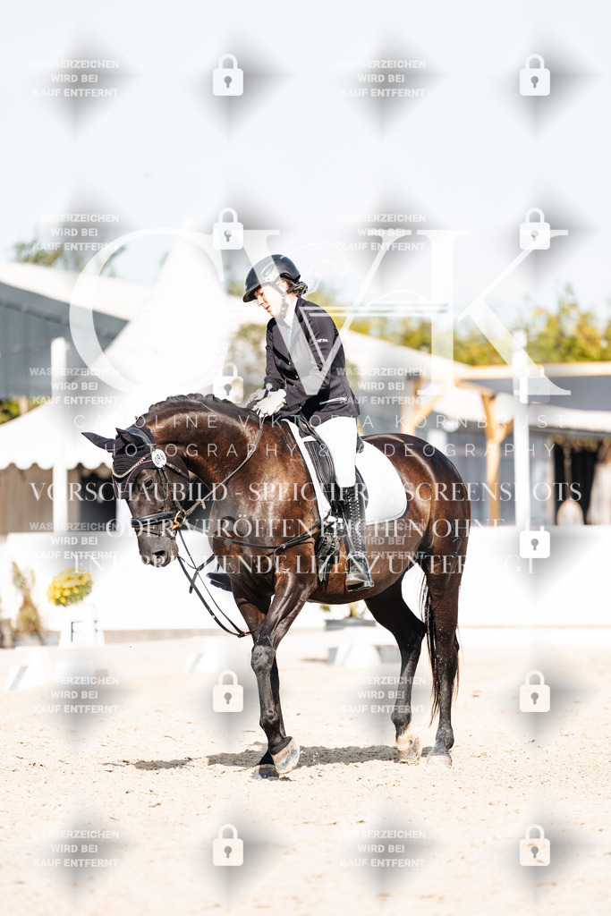 CK905661 | Turnierfotografie Pferdefotografie Trier Rheinland-Pfalz Pferdesport Reitsport Tierfotografie Sportfotografie Pferdevideo Pferdevideografie Equestrianvideography equestrianphotography  - Realisiert mit Pictrs.com
