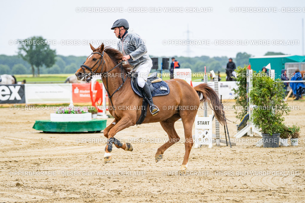 DSC08014 | Pferdegrafie