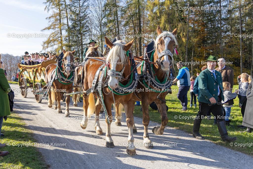 LBT24-1370 | foto-bettina-krinner - Realisiert mit Pictrs.com