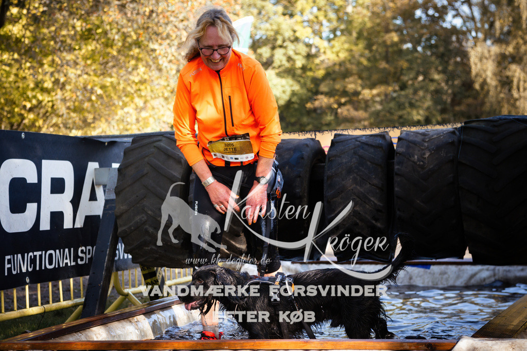 1052_ZZ92936 | kk-dogfotos