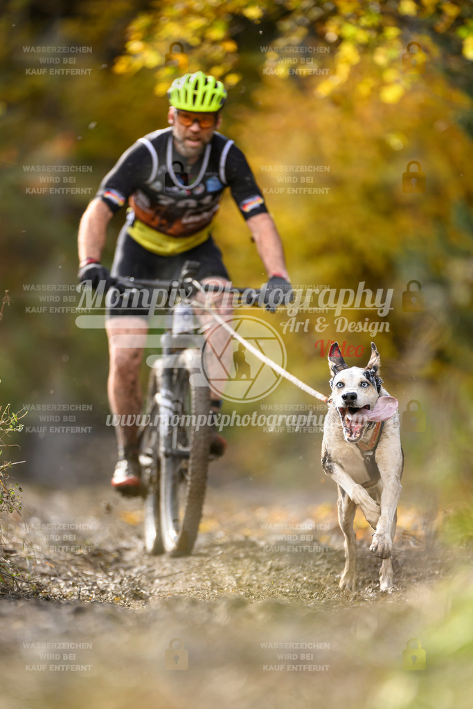 MompixPhotography_ICF_WC_2024_SA_Bike_-323 | PayLife
