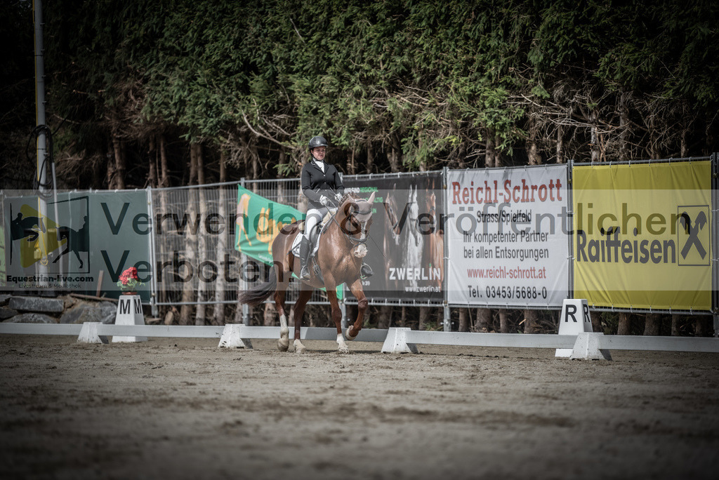 DSC_2980 | equestrian-live-com