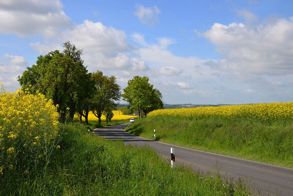 Kriebstein - Landschaft mit Rapsfeldern | Entdecke über 20 Kategorien Leipzig-Motive: Foto-Downloads, hochwertige Poster, Leinwand- & Fine-Art-Prints. Jetzt Lieblingsfoto im Bildlexikon Leipzig Shop bestellen!