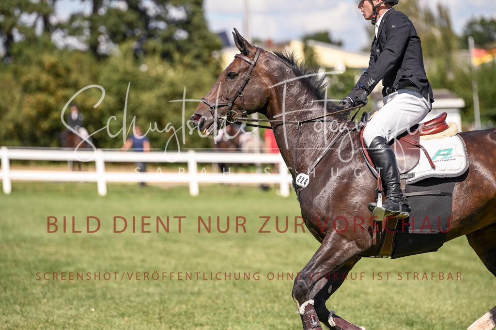 Schugtsche-Düren.2024-09.Springprf.L-4 | Schugtsche Fotografie - Realisiert mit Pictrs.com