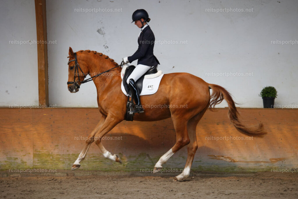 JHE_0501 | JoYa Fotografie - Realisiert mit Pictrs.com