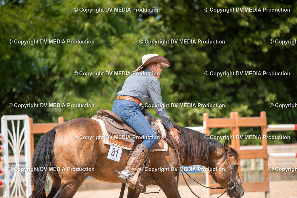 ZS2_8315 | dv-media-shop - Realisiert mit Pictrs.com