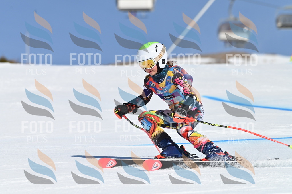 BGV_7695 | holidayphoto