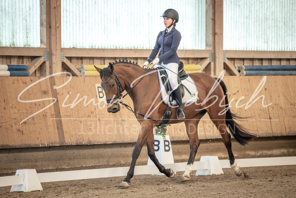 20251011-_3LI7508 | Tierfotografie Pferde, Hunde, Katzen, Haustiere.
Turnierfotografie Reitturniere, Reiten, Springreiten, Dressur in Hanau, dem Main-Kinzig-Kreis und dem Rhein-Main- Gebiet um Frankfurt