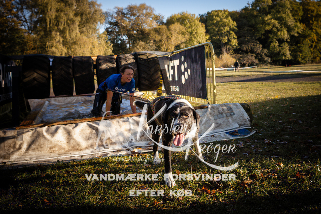 0912_ZZ90245 | kk-dogfotos