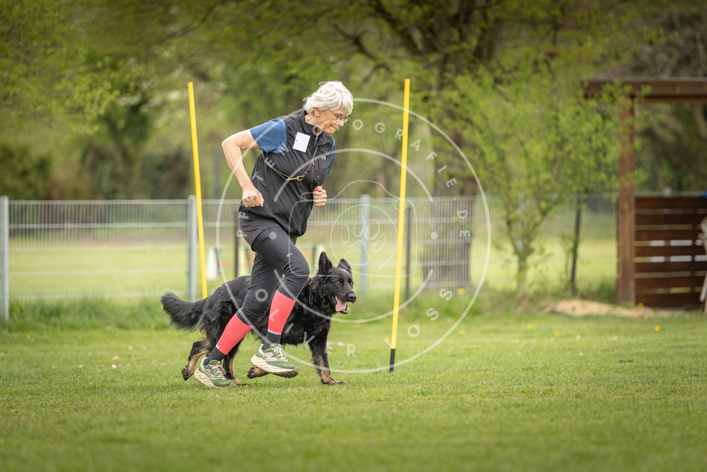 Pfotenfotografie_DV3A0286 | Hundefotografie, Tierfotograf, Pfotenfotografie, Fotoshooting Hund, Hunde Portrait, Hundesport, Hundeportraits, Heideshooting, Hunde, Sportfotograf, Hundefotograf, Turnierhundsport, THS,  - Realisiert mit Pictrs.com