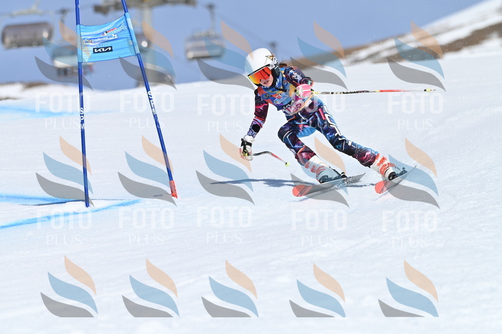 BGV_9900 | holidayphoto