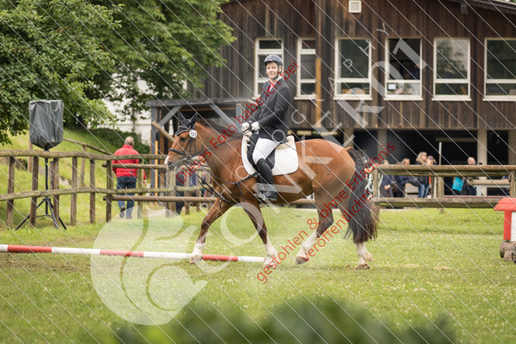 IMG_8377 | Sport-, Event- und Tierfotos in Profiqualität. Einfach auswählen, bestellen und herunterladen. Dein Moment – perfekt festgehalten.