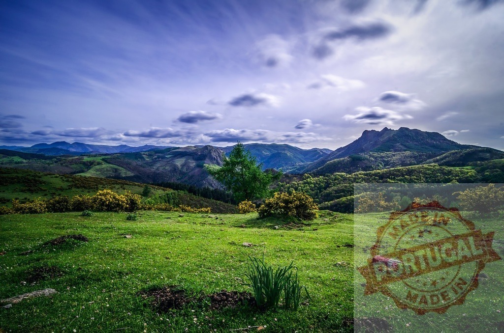 Green grass mountains landscape with moving clouds | Green hills and distant mountains under a cloudy, dynamic sky - Realized with Pictrs.com