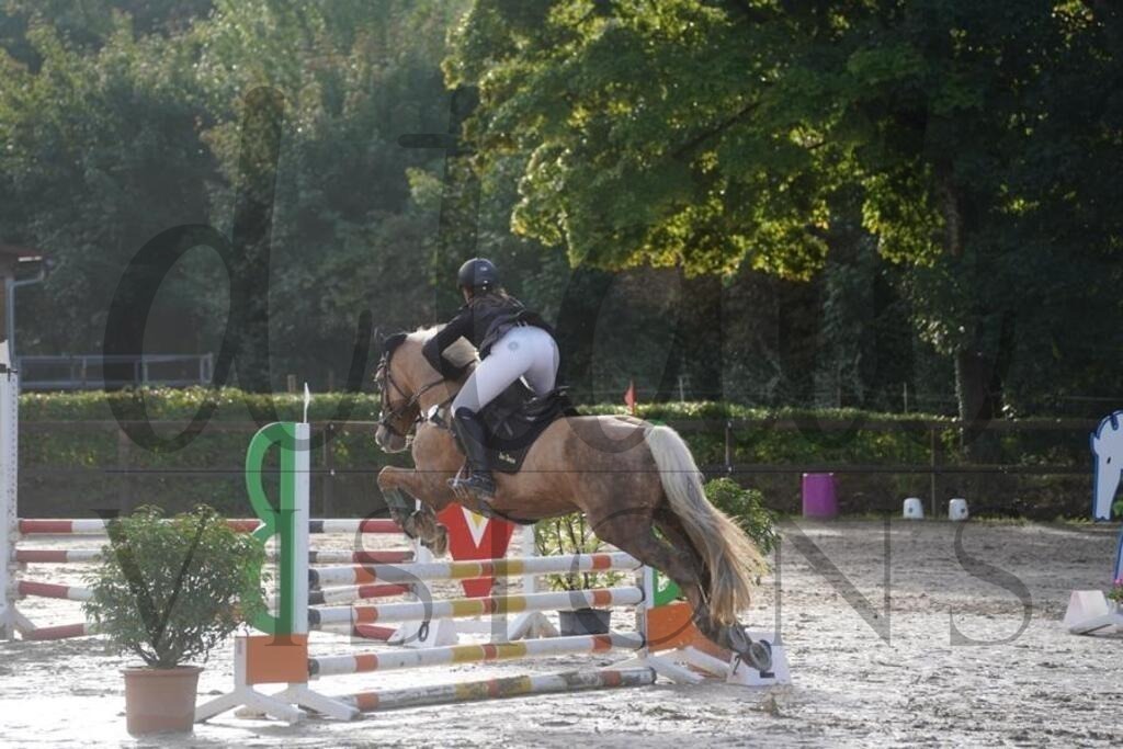 rveinoedsonntag (203) | d.tail Visions - Shop - Realisiert mit Pictrs.com