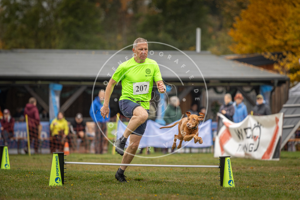 Pfotenfotografie_DV3A1788 | Hundefotografie, Tierfotograf, Pfotenfotografie, Fotoshooting Hund, Hunde Portrait, Hundesport, Hundeportraits, Heideshooting, Hunde, Sportfotograf, Hundefotograf, Turnierhundsport, THS,  - Realisiert mit Pictrs.com