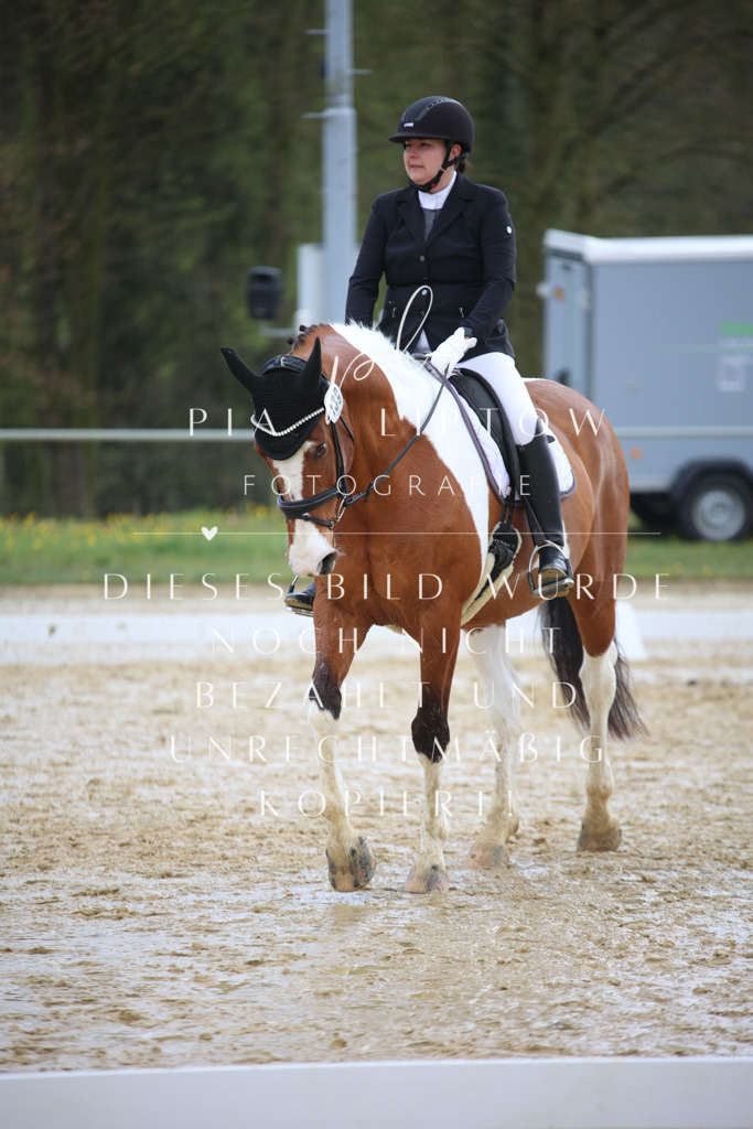 IMGT3806 | pl-fotografie