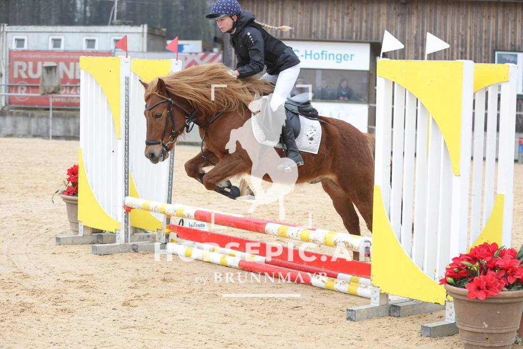 0P6A8648 | Willkommen bei Brunnmayr - Design & Fotografie – Ihrem Spezialisten für Reitturniere und Pferdeveranstaltungen in Oberösterreich, Salzburg und Bayern! Seit über 17 Jahren sind wir leidenschaftlich dabei.
