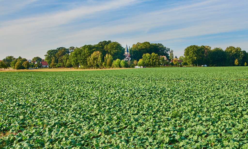 Blick nach Schmeckwitz mit Kirchberg und Kirche 01 | Bedeutsame Landschaften Deutschlands - Realisiert mit Pictrs.com
