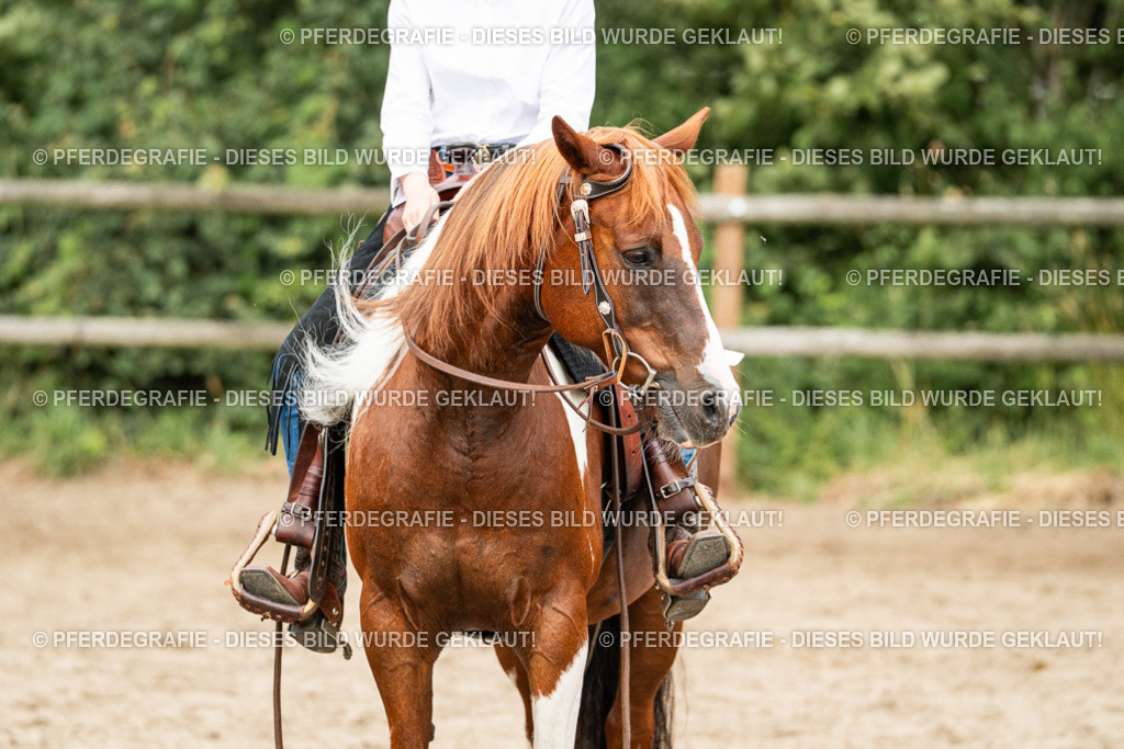 DSC04012 | Pferdegrafie