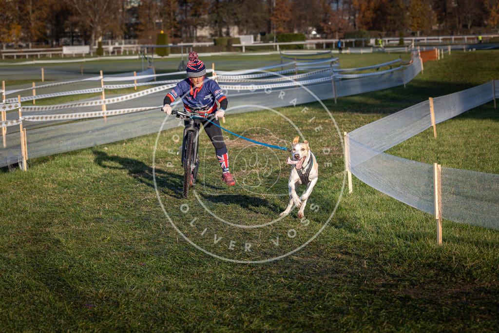 CaniXpix_0L8A3742 | Hundefotografie, Tierfotograf, Pfotenfotografie, Fotoshooting Hund, Hunde Portrait, Hundesport, Hundeportraits, Heideshooting, Hunde, Sportfotograf, Hundefotograf, Turnierhundsport, THS,  - Realisiert mit Pictrs.com