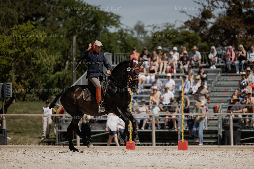 WE_SP_Stoib_320_PI2025_1722 | Pferd International München 2025