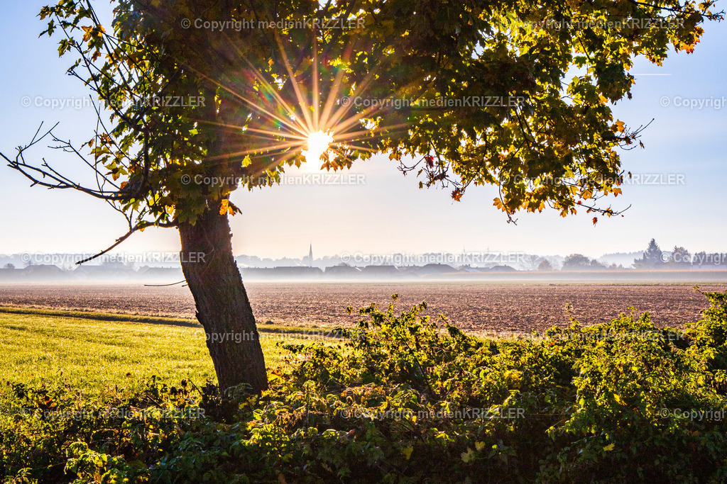 _07A61962 | Sonnenstern in Tacherting - Realisiert mit Pictrs.com