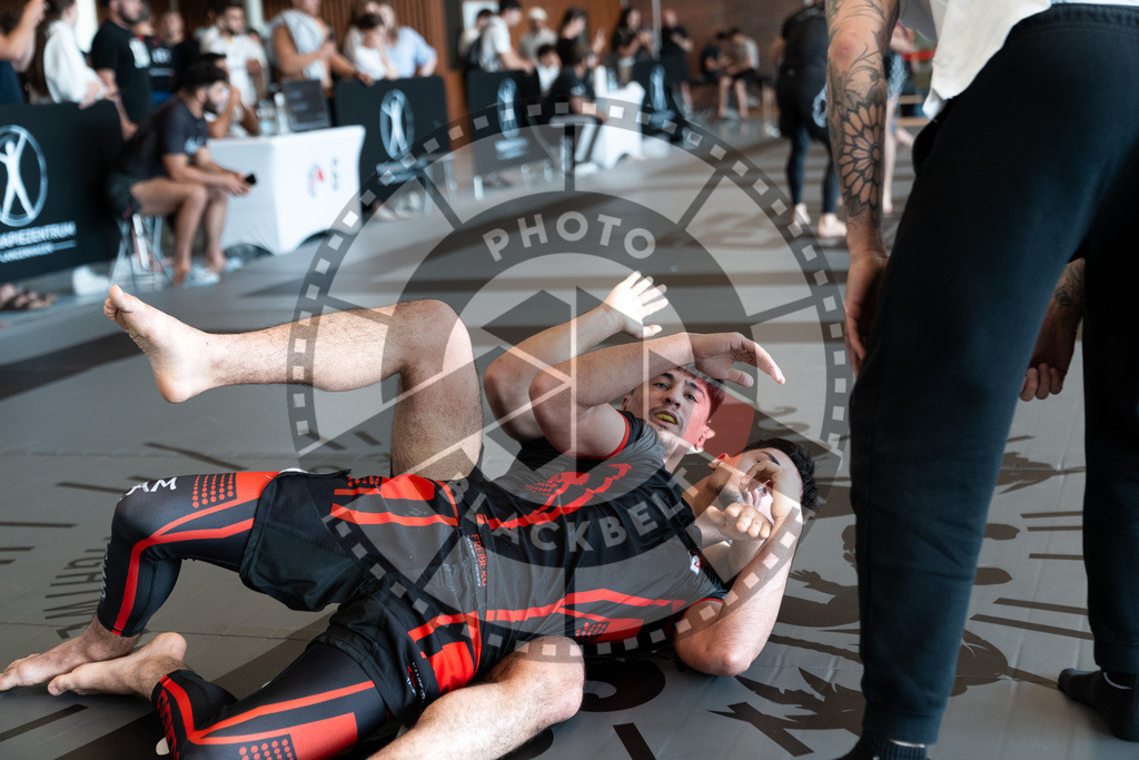 20250628PBB0898 | Athletes compete during the ILLCS X, International Luta Livre Championship Summer Edition on June 28, 2025 in Hannover, Germany. © Chiara Dazi / photoblackbelt