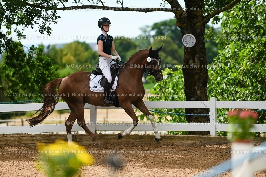 20230715_07_Dressurpferdeprfg. Kl.L_0095 | equistock
