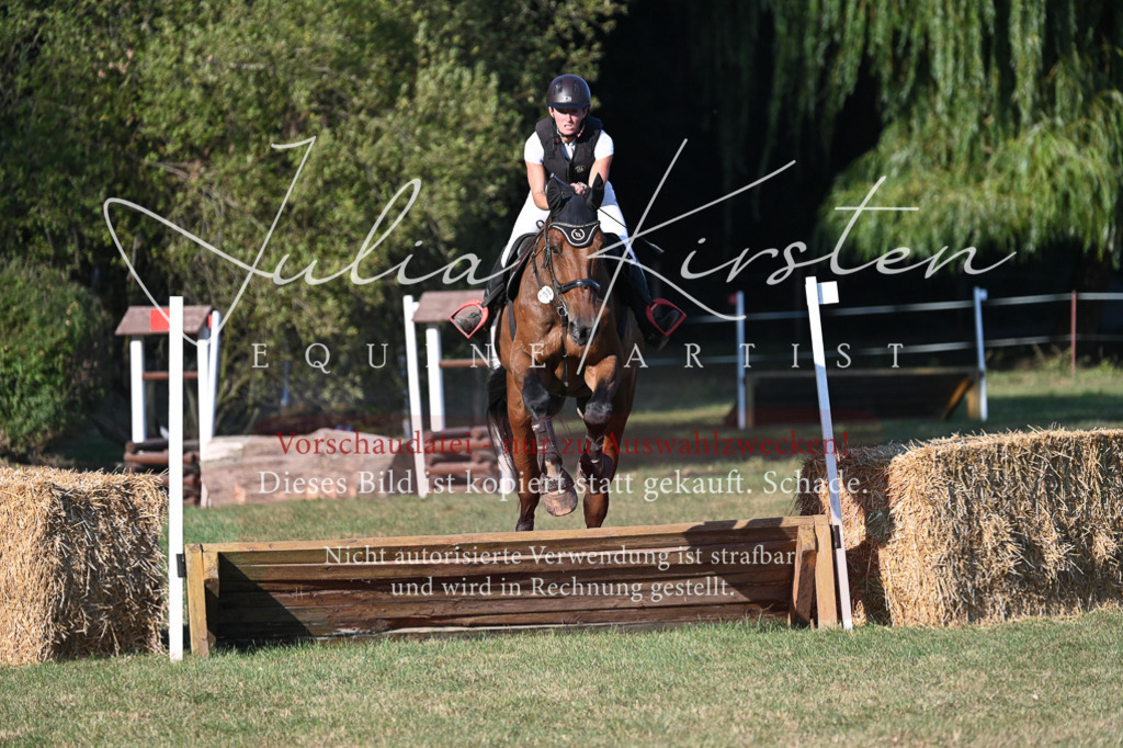 DSC_9034 | Pferde- und Turnierfotografie in Westsachsen. Pferdeportraits, Auftragszeichnungen und intuitive Kunst.